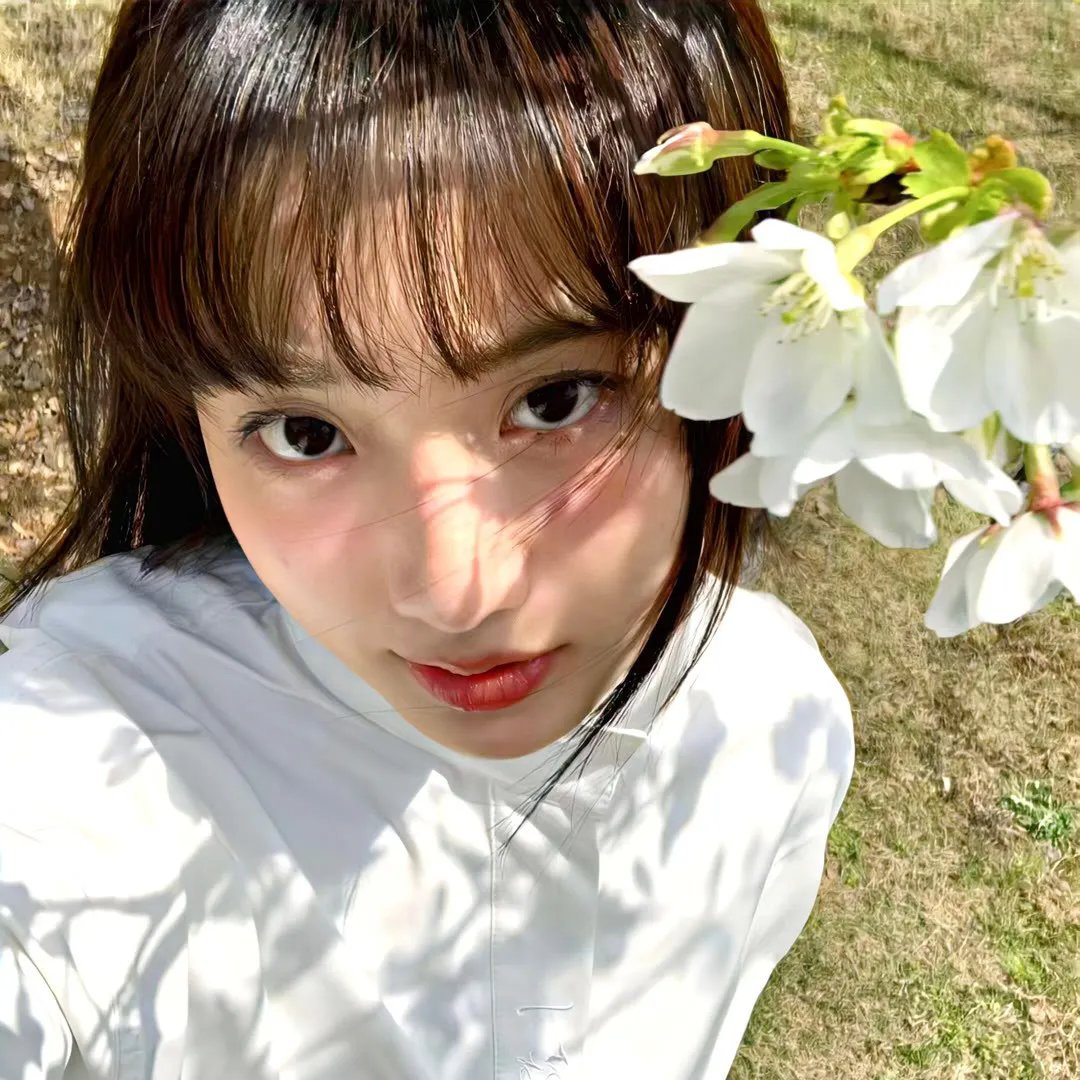 龙门驿站之蝴蝶飞