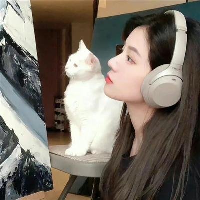 镜面奇情